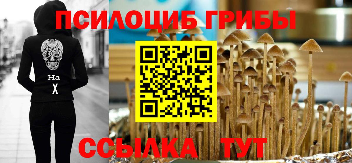 Галлюциногенные грибы Psilocybine cubensis  Вход с VPN  Карпинск 