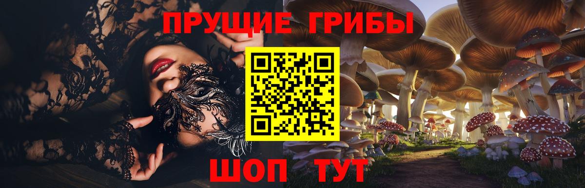 Псилоцибиновые грибы Cubensis Карпинск